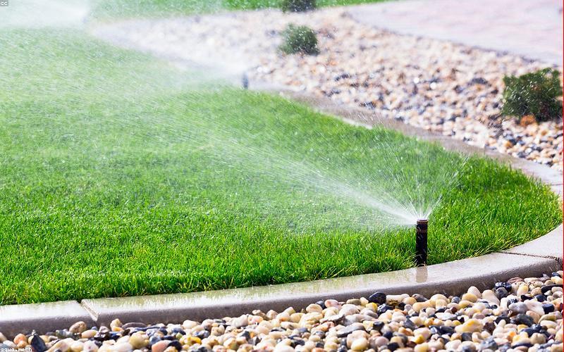 Installed rainwater system in a backyard